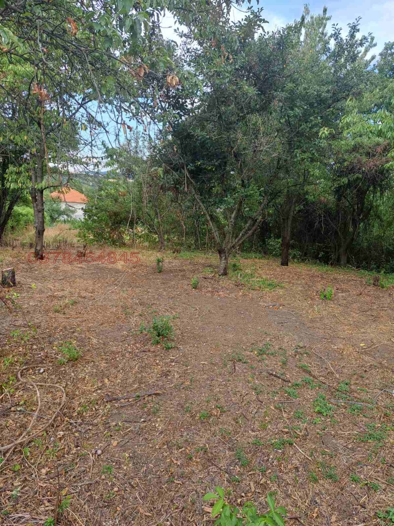 Продава ПАРЦЕЛ, с. Смолско, област София област, снимка 5 - Парцели - 52928208