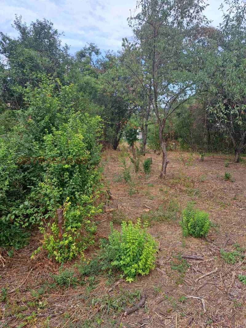 Продава ПАРЦЕЛ, с. Смолско, област София област, снимка 3 - Парцели - 52928208