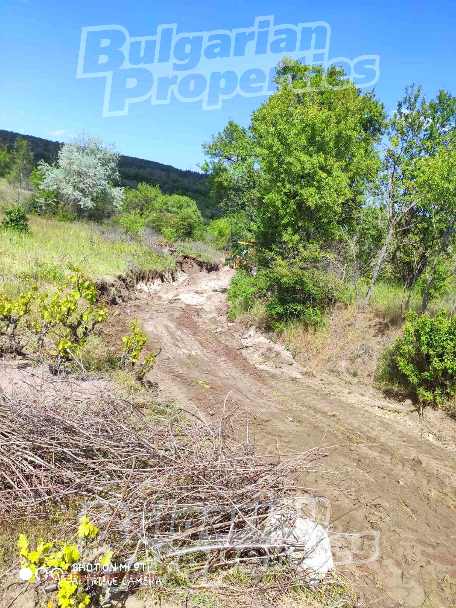 ������� ������ | Imot.bg � ����������� 1