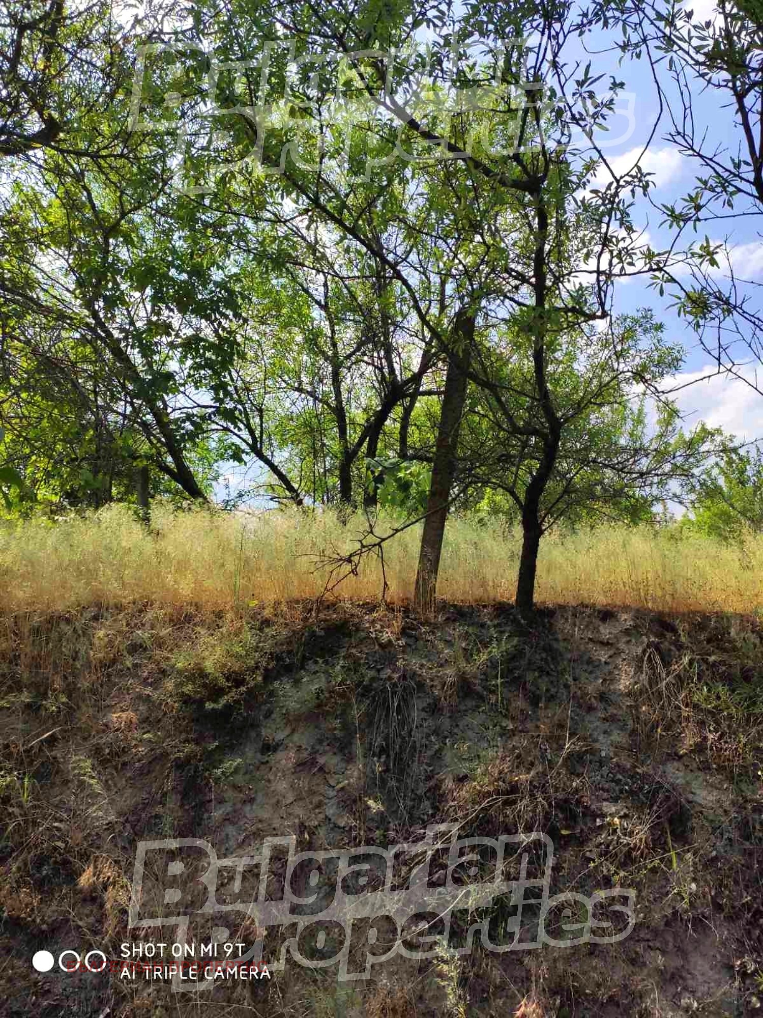 ������� ������ | Imot.bg � ����������� 4