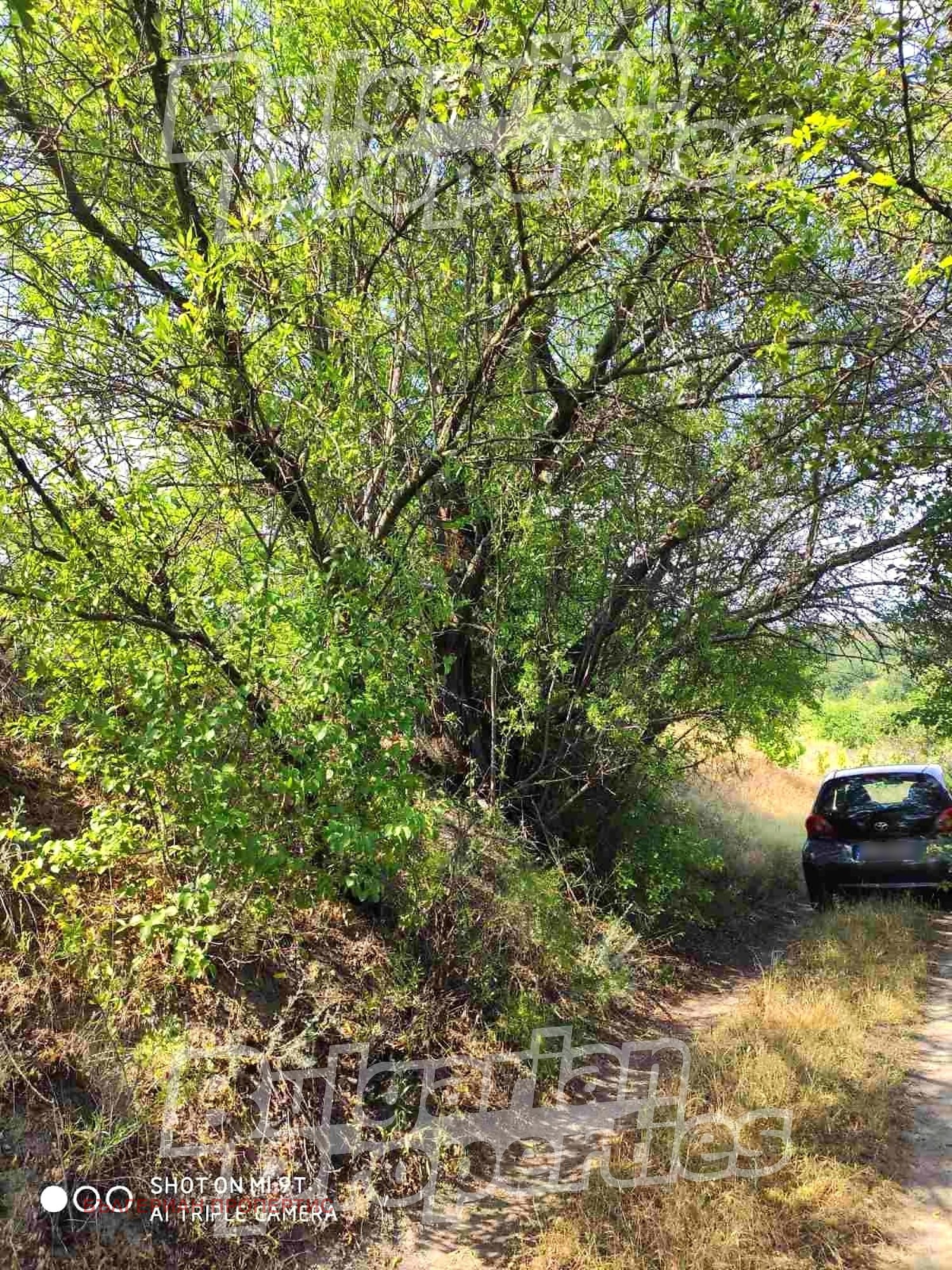 ������� ������ | Imot.bg � ����������� 5