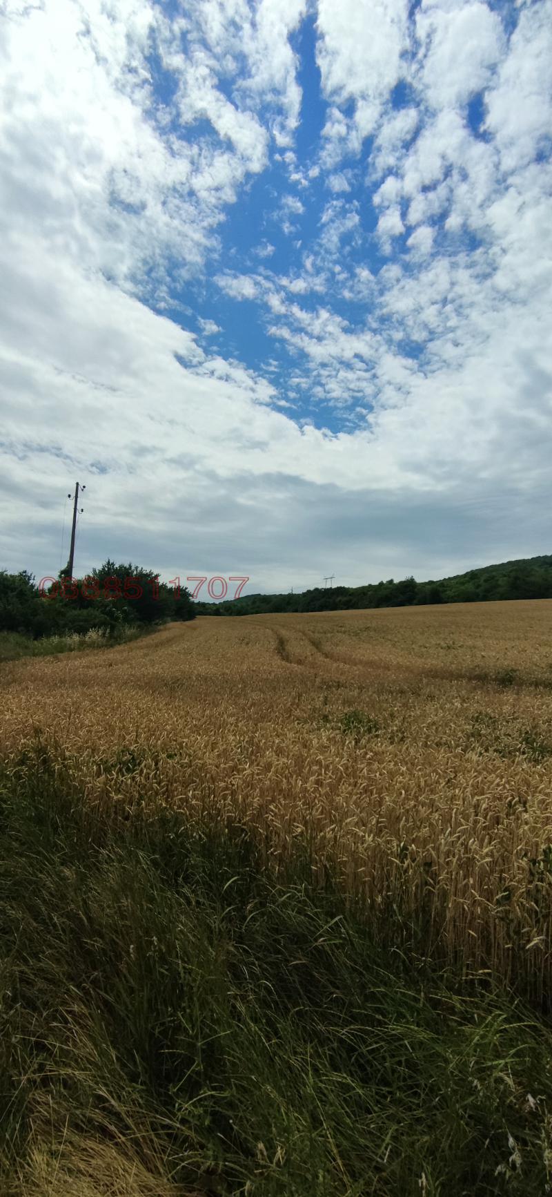 Продава ПАРЦЕЛ, гр. Лясковец, област Велико Търново, снимка 2 - Парцели - 52777660