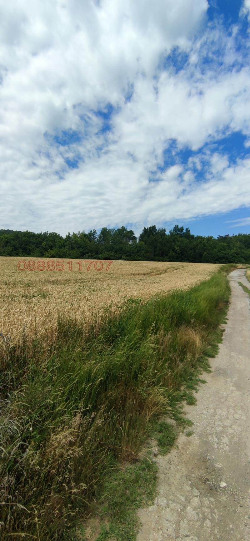 Продава ПАРЦЕЛ, гр. Лясковец, област Велико Търново, снимка 4 - Парцели - 52777660