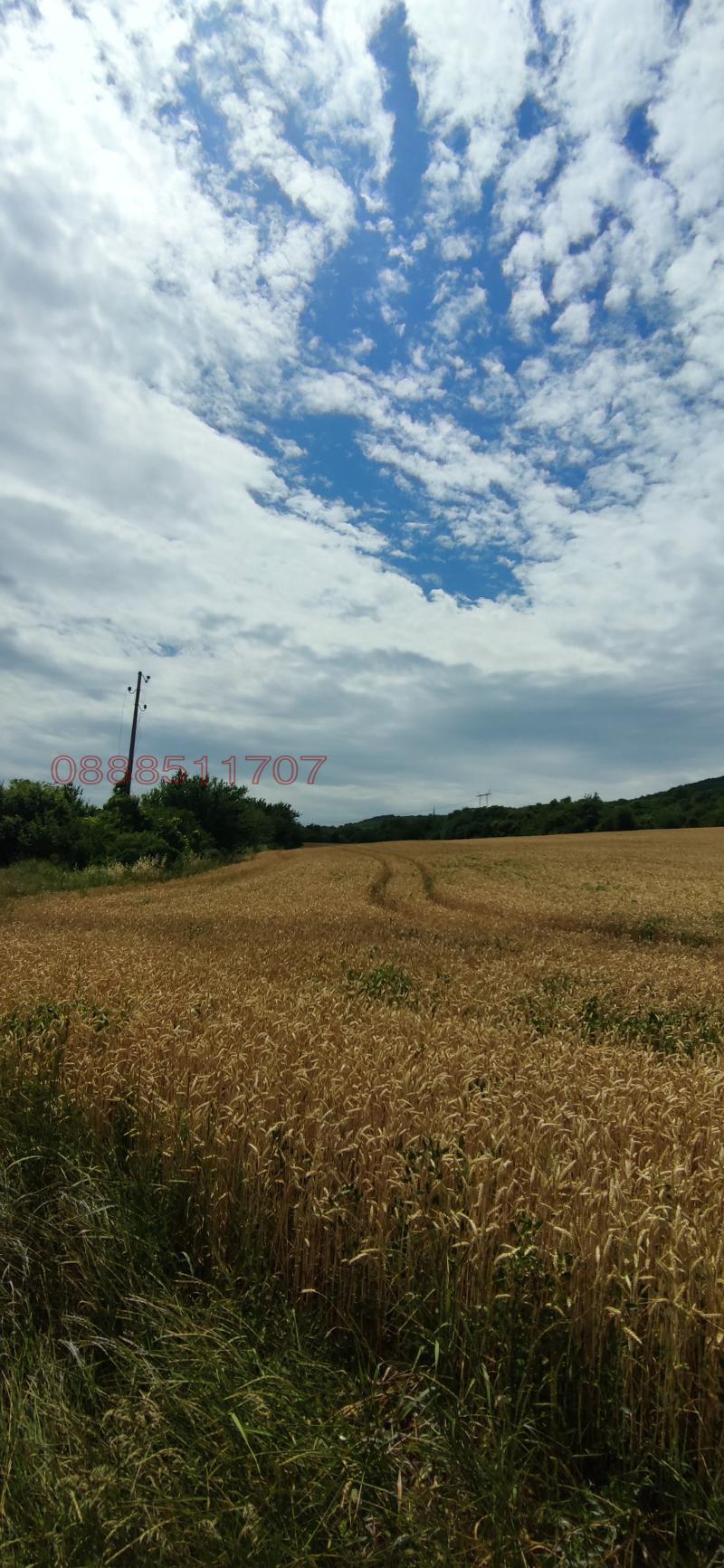 Продава ПАРЦЕЛ, гр. Лясковец, област Велико Търново, снимка 6 - Парцели - 52777660