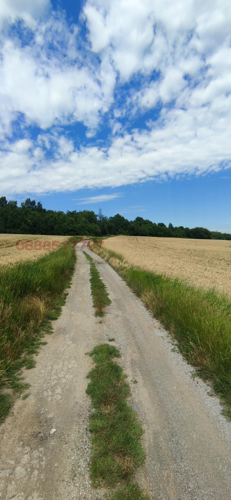 Продава ПАРЦЕЛ, гр. Лясковец, област Велико Търново, снимка 3 - Парцели - 52777660