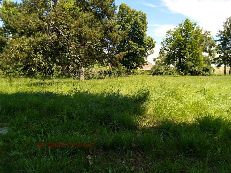 For Sale  Plot Sofia , Lozen , 1774 sq.m | 92210643 - image [6]