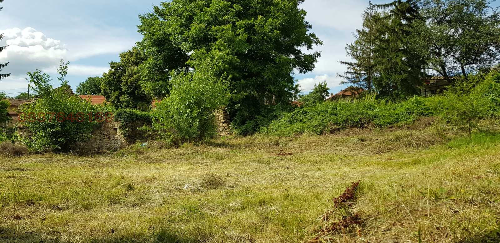 Продава ПАРЦЕЛ, с. Леденик, област Велико Търново, снимка 3 - Парцели - 53983642