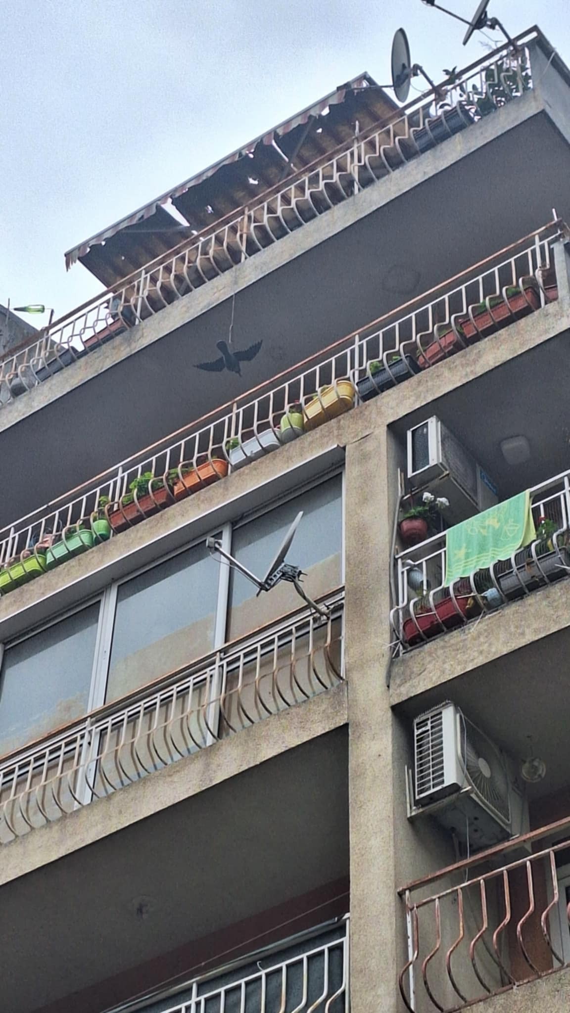 ������� ������� | Imot.bg � ����������� 2