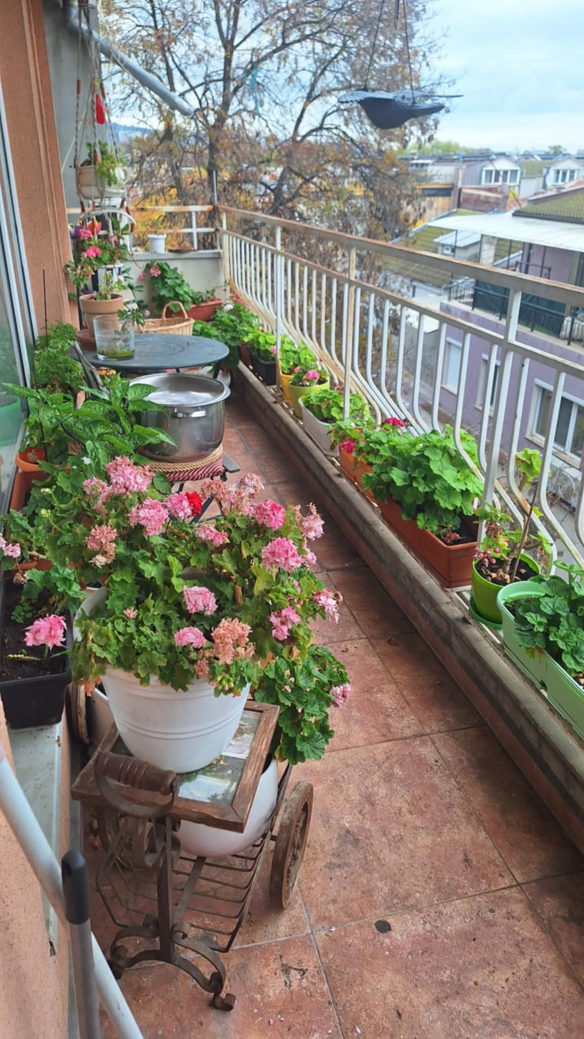 ������� ������� | Imot.bg � ����������� 1