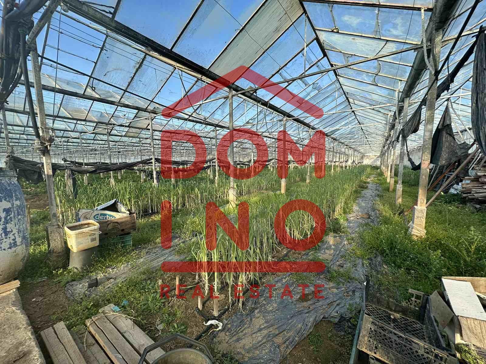 ������� ���������� ���� | Imot.bg � ����������� 10