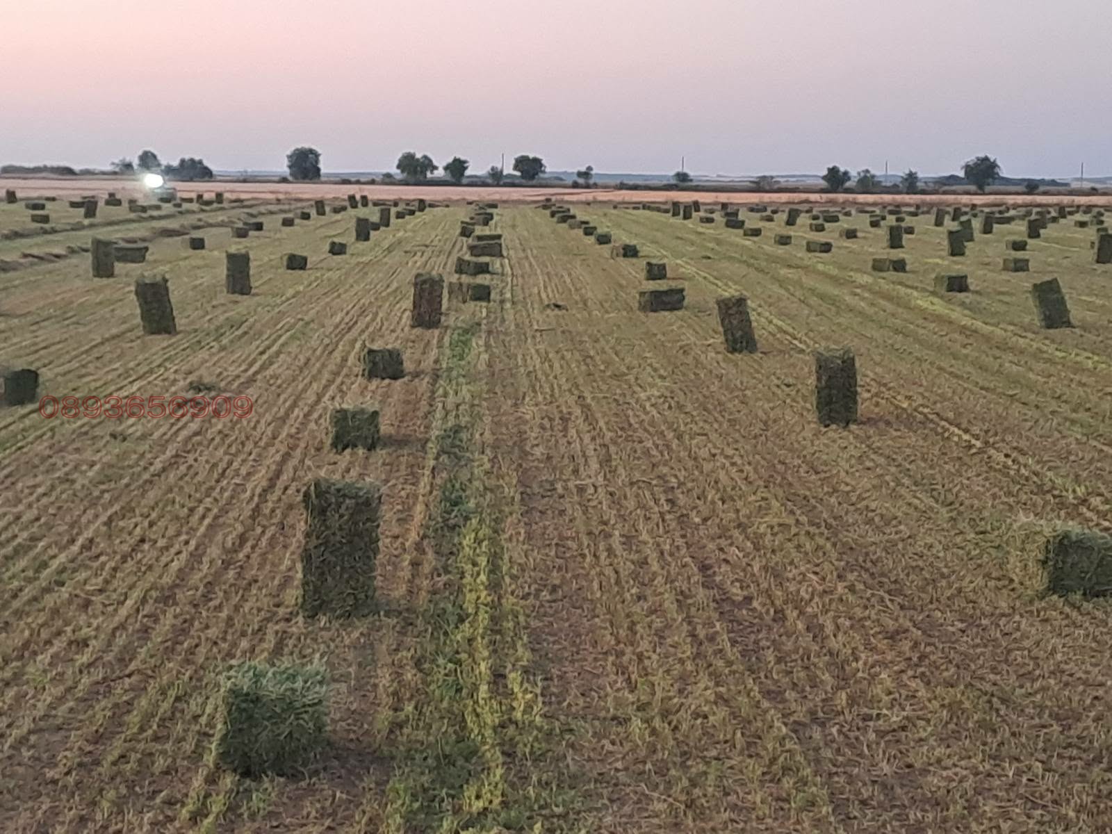 ������� ����� | Imot.bg � ����������� 12