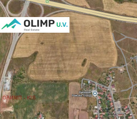 ����� ������� ������,���� �����, ���������