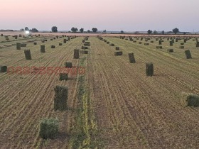 ������� ����� | Imot.bg � ����� ������ 12