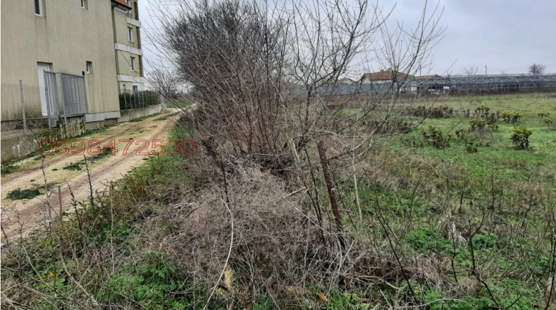 Продава ПАРЦЕЛ, с. Божурец, област Добрич, снимка 4 - Парцели - 53413199