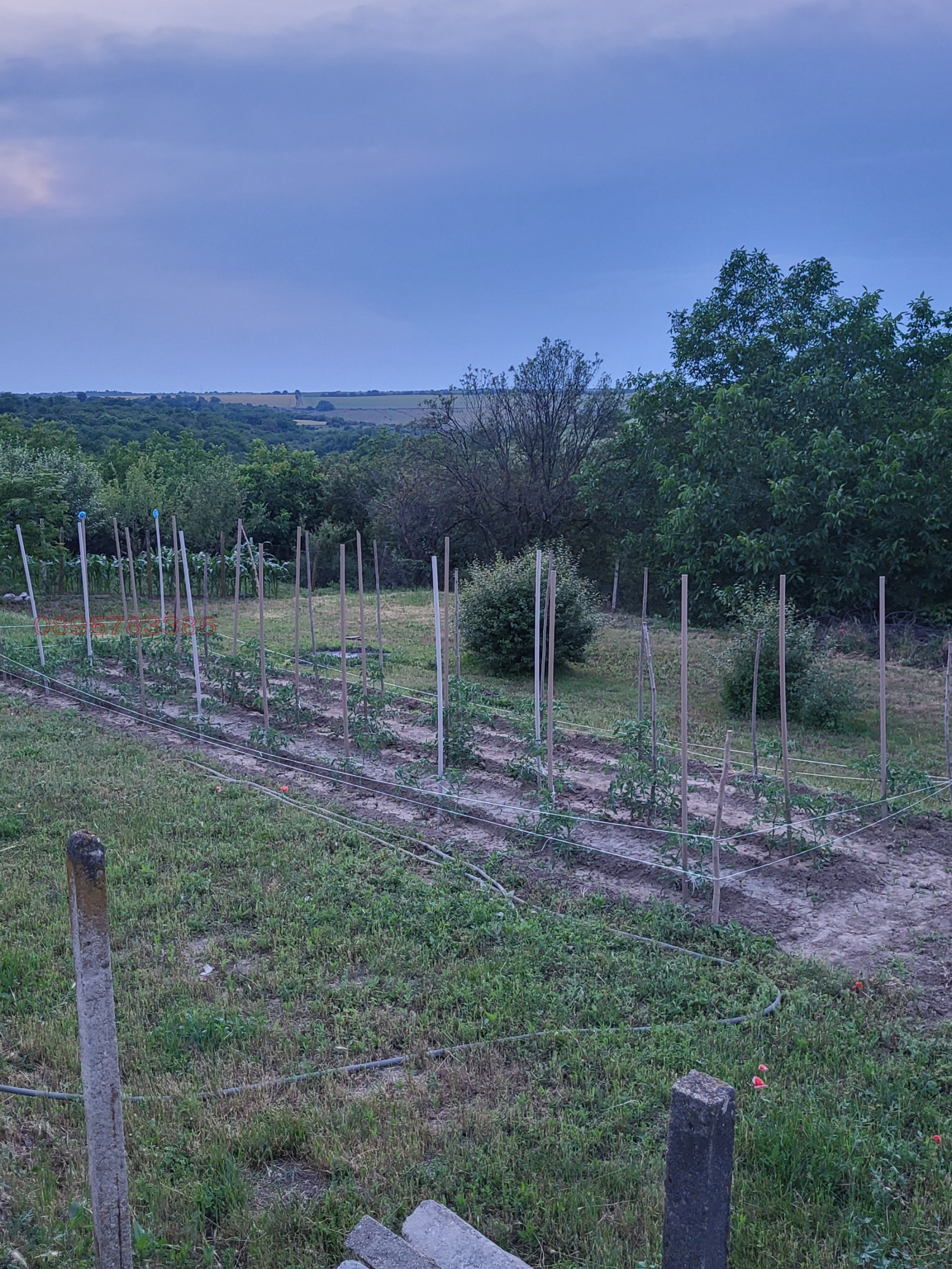 Продава КЪЩА, с. Екзарх Йосиф, област Русе, снимка 4 - Къщи - 55164462