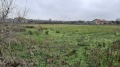 Продава ПАРЦЕЛ, с. Божурец, област Добрич, снимка 2