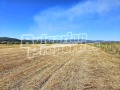 Продава ПАРЦЕЛ, с. Белчин, област София област, снимка 6