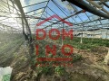 Продава ЗЕМЕДЕЛСКА ЗЕМЯ, с. Говедаре, област Пазарджик, снимка 1
