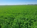 Продава БИЗНЕС ИМОТ, гр. Силистра, в.з. Юг, снимка 11
