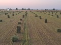 Продава БИЗНЕС ИМОТ, гр. Силистра, в.з. Юг, снимка 12