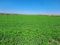 Продава БИЗНЕС ИМОТ, гр. Силистра, в.з. Юг, снимка 13