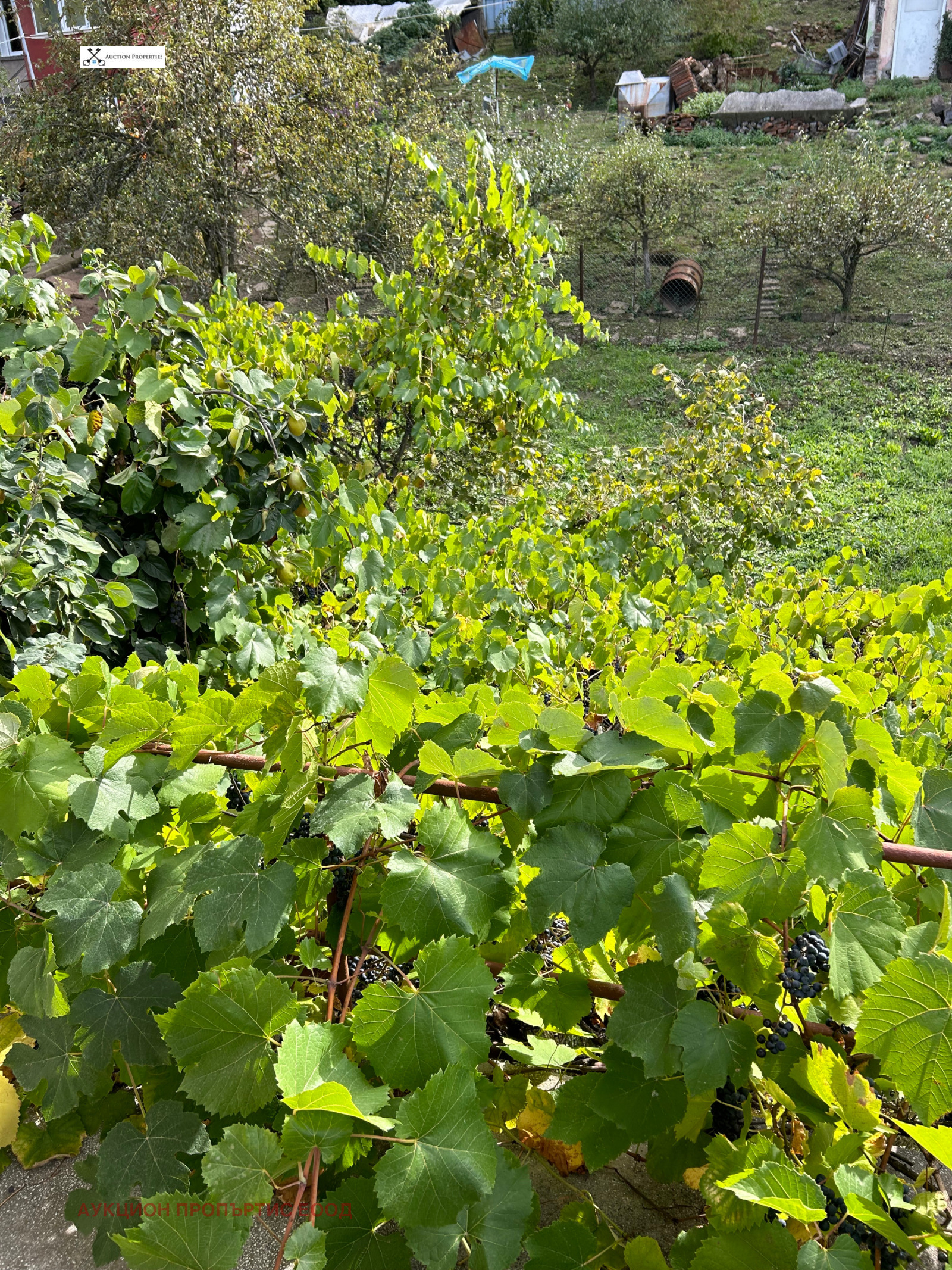 ������� ���� | Imot.bg � ����������� 8