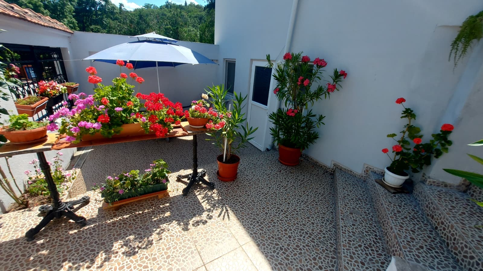 ������� ����� | Imot.bg � ����������� 17