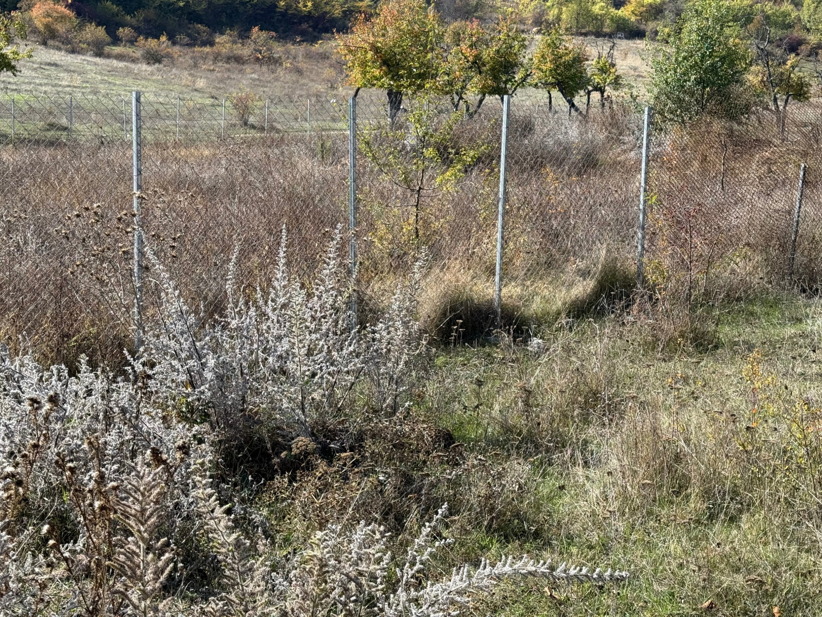 Продава ПАРЦЕЛ | Imot.bg — изображение 1