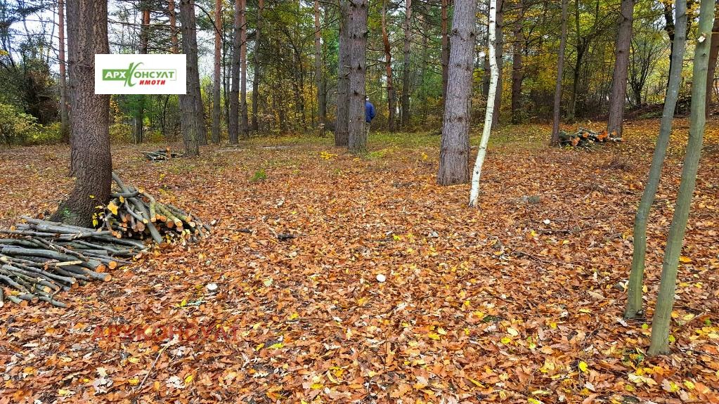 ������� ������ | Imot.bg � ����������� 5