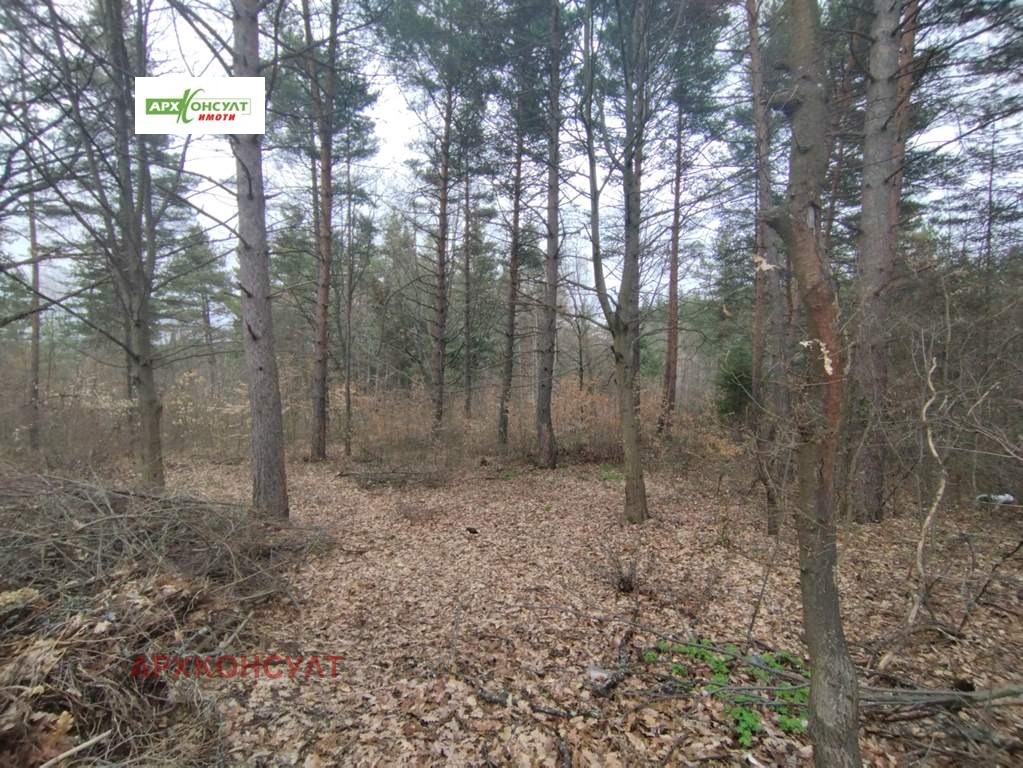 ������� ������ | Imot.bg � ����������� 6