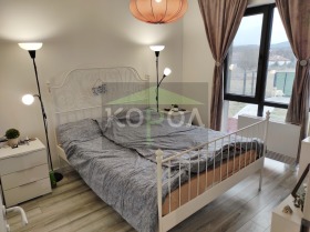 Haus Boschurishte, region Sofia 8