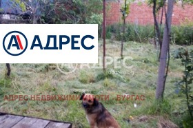 ������� ���� | Imot.bg � ����� ������ 12