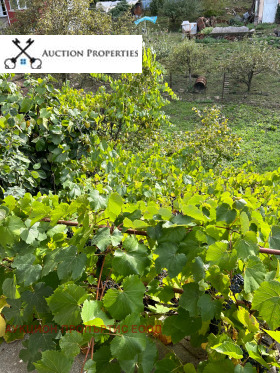 ������� ���� | Imot.bg � ����� ������ 8