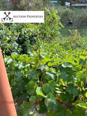 ������� ���� | Imot.bg � ����� ������ 13