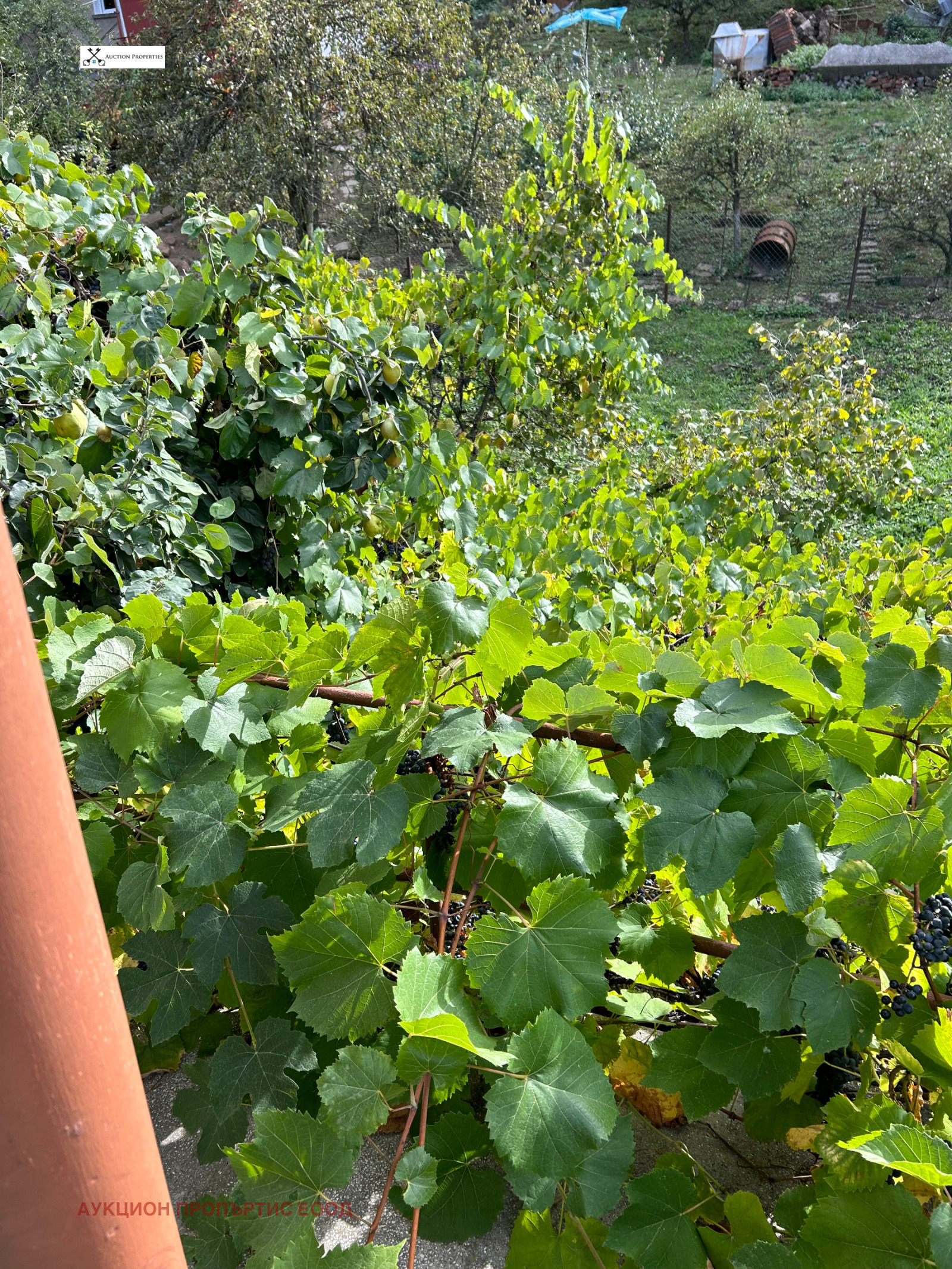 Продава ВИЛА, с. Рударци, област Перник, снимка 13 - Вили - 54153121