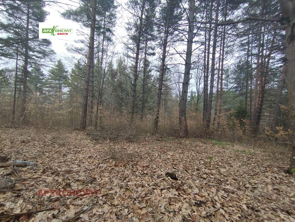 Продава ПАРЦЕЛ, гр. София, м-т яз. Искър, снимка 3 - Парцели - 53859027