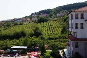 Studio Rogatševo, Dobrichin alue
