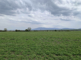 Плот Пролеша, регион Софиа