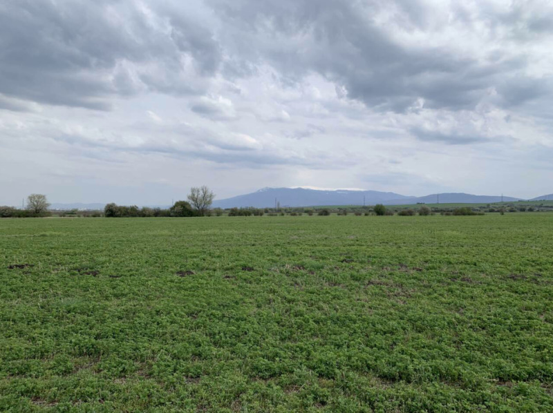 Продаја  Плот регион Софиа , Пролеша , 3887 м2 | 60848247