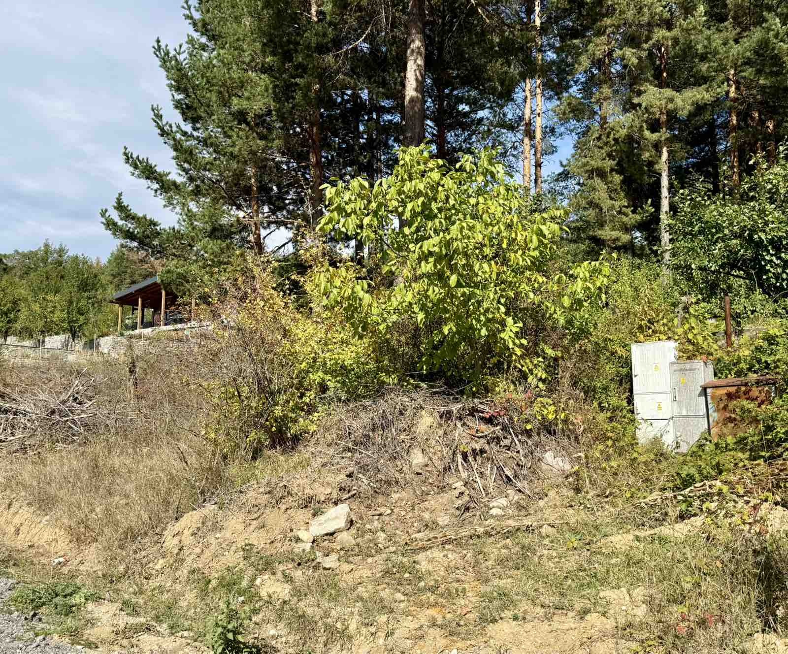 Продава ПАРЦЕЛ, гр. Разлог, област Благоевград, снимка 7 - Парцели - 56548356