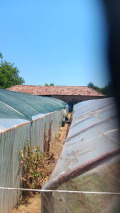 Продава КЪЩА, с. Черна гора, област Стара Загора, снимка 12