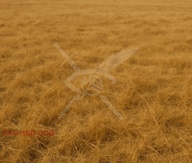 Plot Asenovgrad, region Plovdiv