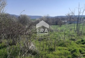 ����� ������� ������,�. ��������, ������ ������