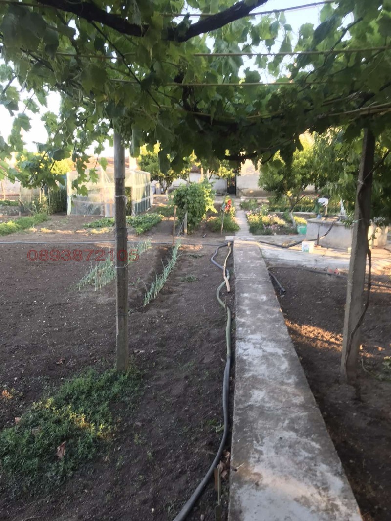 Till salu  Hus region Yambol , Okop , 215 kvm | 91053577 - bild [4]
