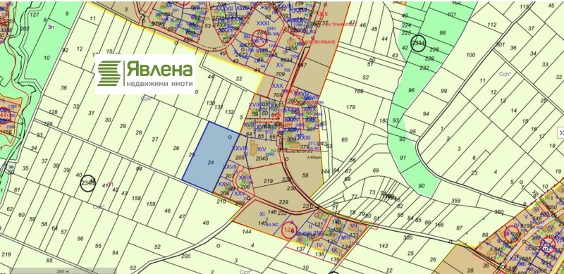 Продаја  Плот Софија , Иванјане , 8010 м2 | 21328489 - слика [3]