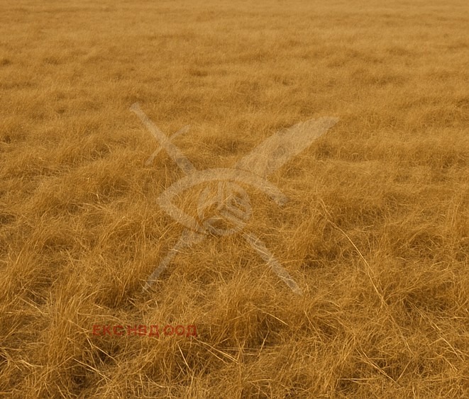 For Sale  Plot region Plovdiv , Asenovgrad , 2895 sq.m | 13178618