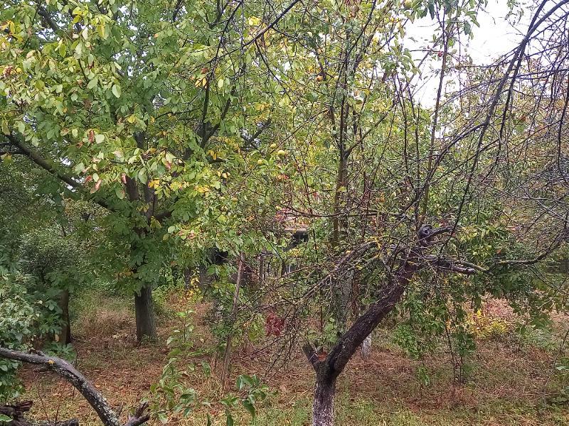 ������� ���� | Imot.bg � ����������� 8