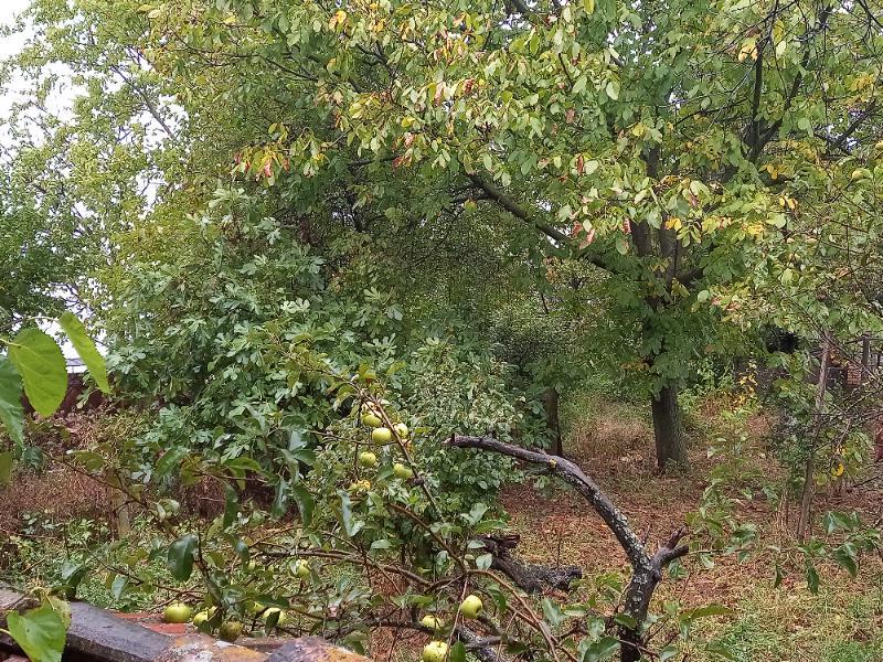 ������� ���� | Imot.bg � ����������� 9