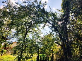 House Zhilentsi, region Kyustendil 6