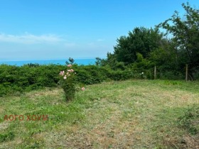 ������� ���� | Imot.bg � ����� ������ 1